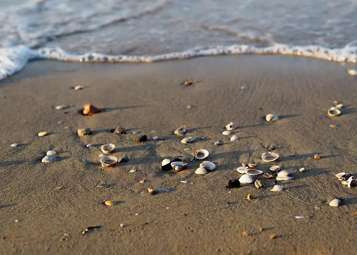 Smart Apartment-beahost Бибионе